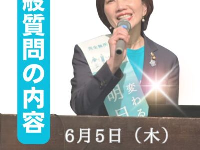 令和7年第2回定例会　林リエの一般質問内容